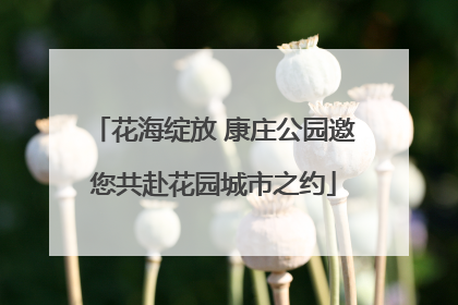 花海绽放 康庄公园邀您共赴花园城市之约