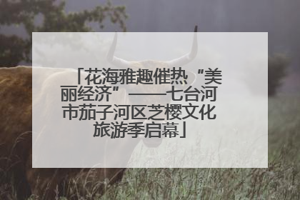 花海雅趣催热“美丽经济”——七台河市茄子河区芝樱文化旅游季启幕