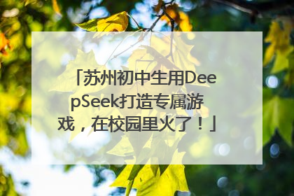 苏州初中生用DeepSeek打造专属游戏，在校园里火了！