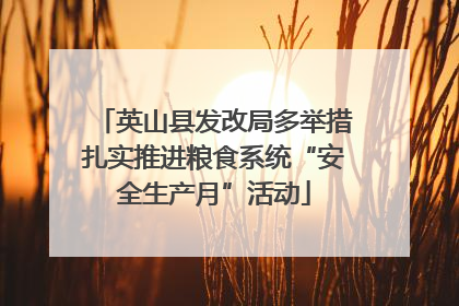 英山县发改局多举措扎实推进粮食系统“安全生产月”活动