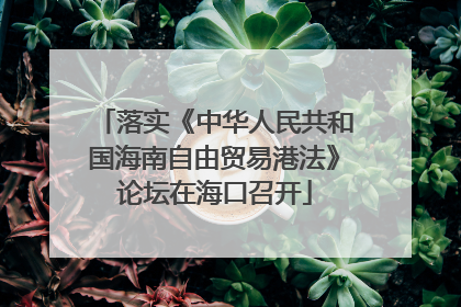 落实《中华人民共和国海南自由贸易港法》论坛在海口召开