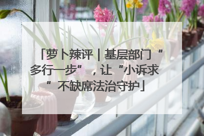 萝卜辣评｜基层部门“多行一步”，让“小诉求”不缺席法治守护
