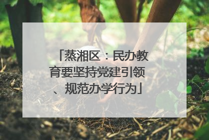 蒸湘区：民办教育要坚持党建引领、规范办学行为