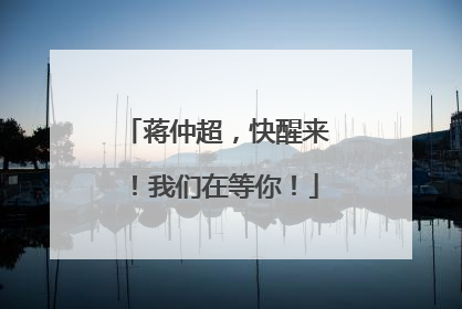 蒋仲超，快醒来！我们在等你！