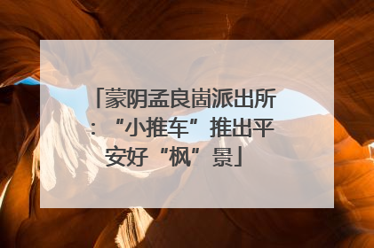 蒙阴孟良崮派出所：“小推车”推出平安好“枫”景