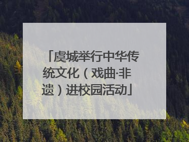 虞城举行中华传统文化（戏曲·非遗）进校园活动