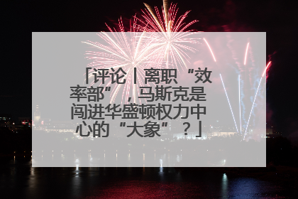 评论丨离职“效率部”，马斯克是闯进华盛顿权力中心的“大象”？