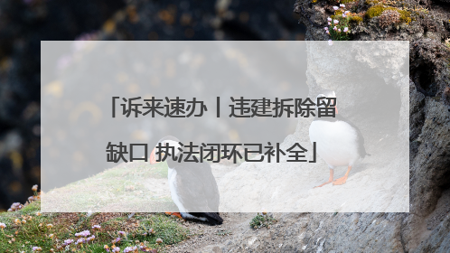 诉来速办丨违建拆除留缺口 执法闭环已补全