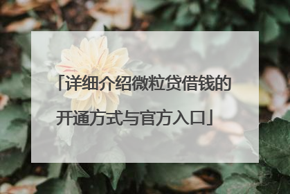 详细介绍微粒贷借钱的开通方式与官方入口