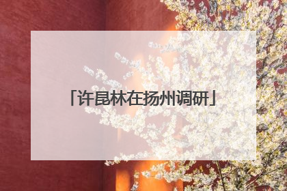 许昆林在扬州调研