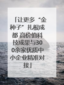 让更多“金种子”扎根成都 高价值科技成果与300余家优质中小企业精准对接