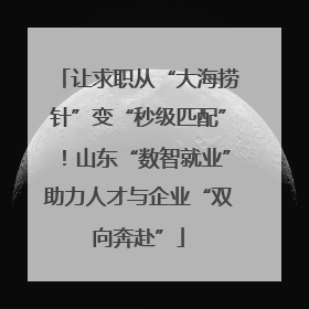 让求职从“大海捞针”变“秒级匹配”！山东“数智就业”助力人才与企业“双向奔赴”