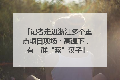 记者走进浙江多个重点项目现场：高温下，有一群“蒸”汉子