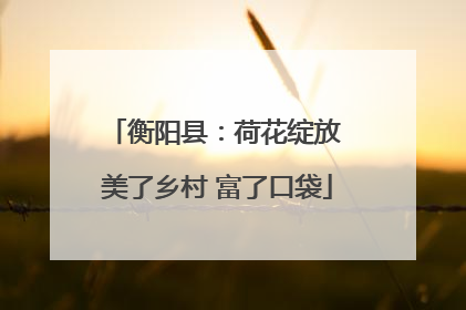 衡阳县：荷花绽放 美了乡村 富了口袋