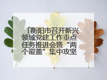 衡阳市召开新兴领域党建工作重点任务推进会暨“两个覆盖”集中攻坚工作专班 第一次会议