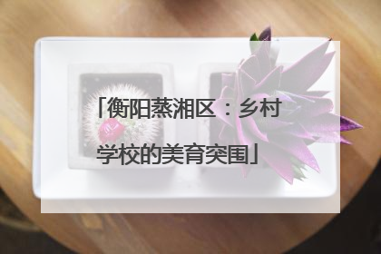 衡阳蒸湘区：乡村学校的美育突围