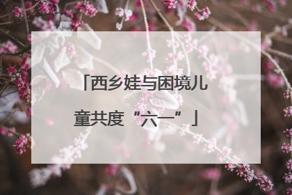 西乡娃与困境儿童共度“六一”