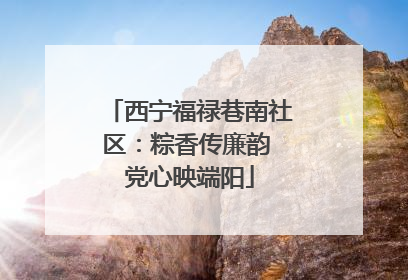 西宁福禄巷南社区：粽香传廉韵 党心映端阳