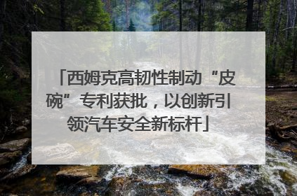 西姆克高韧性制动“皮碗”专利获批，以创新引领汽车安全新标杆
