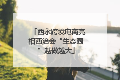 西永跨境电商亮相西洽会“生态圈”越做越大