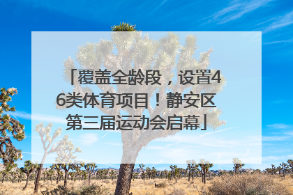 覆盖全龄段，设置46类体育项目！静安区第三届运动会启幕