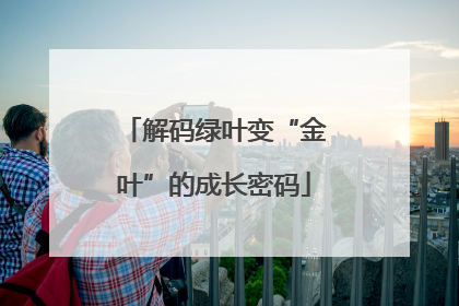 解码绿叶变“金叶”的成长密码