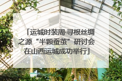 运城时装周·寻根丝绸之源“半颗蚕茧”研讨会在山西运城成功举行