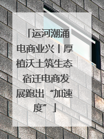 运河潮涌 电商业兴丨厚植沃土筑生态 宿迁电商发展跑出“加速度”