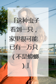 这种虫子看到一只，家里很可能已有一万只（不是蟑螂）