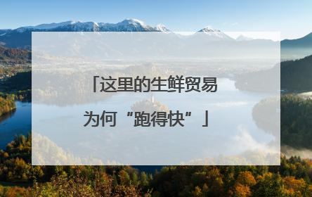 这里的生鲜贸易为何“跑得快”