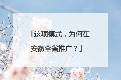 这项模式，为何在安徽全省推广？