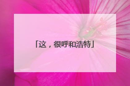 这，很呼和浩特