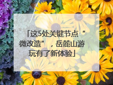 这5处关键节点“微改造”，岳麓山游玩有了新体验