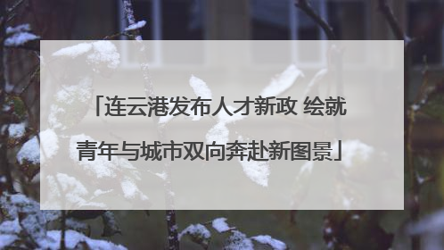 连云港发布人才新政 绘就青年与城市双向奔赴新图景