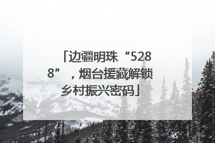 边疆明珠“5288”，烟台援藏解锁乡村振兴密码