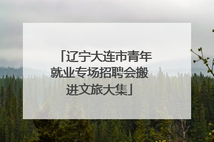 辽宁大连市青年就业专场招聘会搬进文旅大集