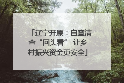 辽宁开原：自查清查“回头看” 让乡村振兴资金更安全