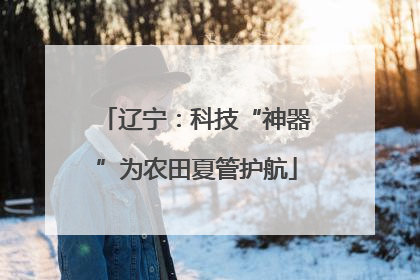 辽宁：科技“神器”为农田夏管护航