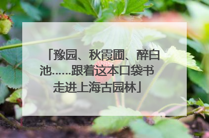 豫园、秋霞圃、醉白池……跟着这本口袋书走进上海古园林