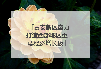 贵安新区奋力打造西部地区重要经济增长极