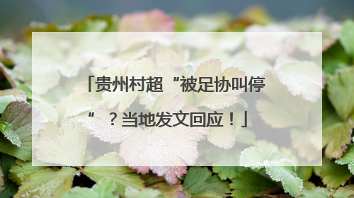 贵州村超“被足协叫停”？当地发文回应！