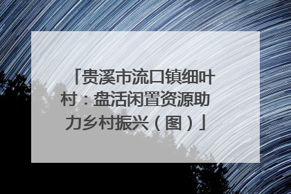 贵溪市流口镇细叶村:盘活闲置资源助力乡村振兴(图)