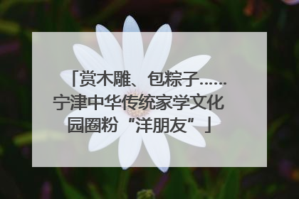 赏木雕、包粽子……宁津中华传统家学文化园圈粉“洋朋友”