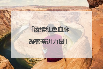 赓续红色血脉 凝聚奋进力量