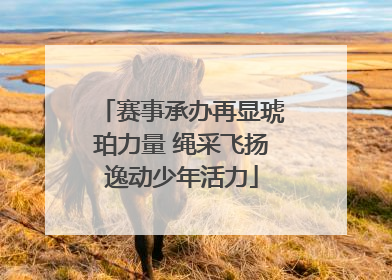 赛事承办再显琥珀力量 绳采飞扬逸动少年活力