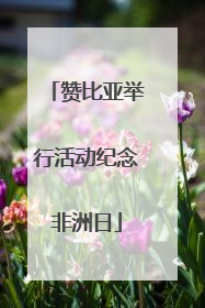 赞比亚举行活动纪念非洲日