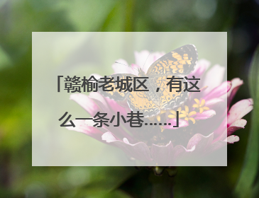 赣榆老城区，有这么一条小巷……