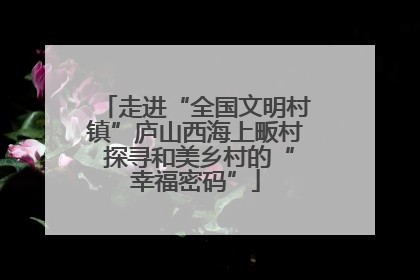 走进“全国文明村镇”庐山西海上畈村 探寻和美乡村的“幸福密码”