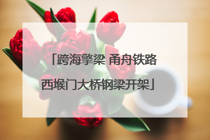 跨海擎梁 甬舟铁路西堠门大桥钢梁开架