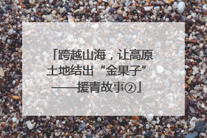跨越山海，让高原土地结出“金果子”——援青故事②